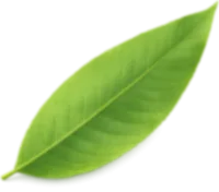 Leaf element