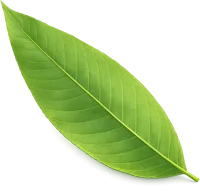 Leaf element