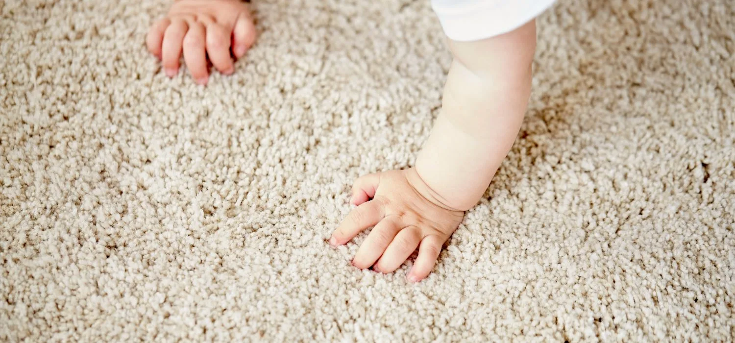 Servicii profesionale de curatenie – Carpeta Magica Brasov | Servicii profesionale de curatenie | Servicii profesionale de curatenie